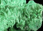 Silky Fibrous Malachite Crystal Cluster - Congo #45328-2